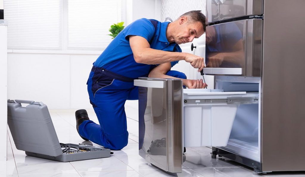 Ödemiş Termodinamik buzdolabı servisi – yerinde onarım